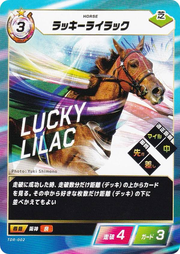 楽天市場】the lilac（ホビー）の通販