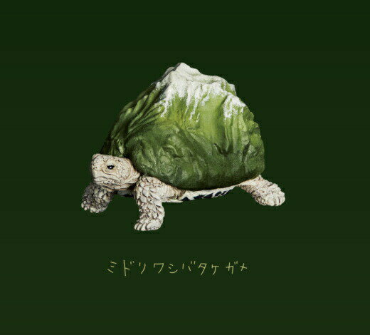楽天市場】ミドリガメ（ホビー）の通販