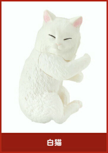 【白猫】 フックにギュっと！