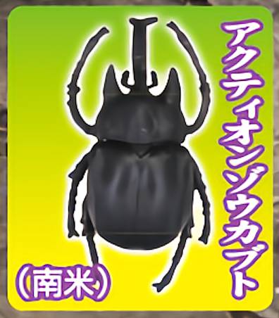 【アクティオンゾウカブト (大虫) 