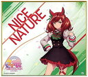 【ナイスネイチャ (ノーマル) 】 ウマ娘 プリティーダービー Season 2 トレーディングmini色紙(3)