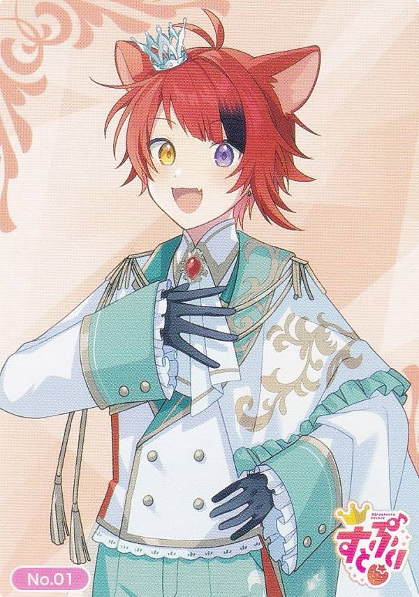 【No.01 りいぬ/Rinu】 ブシロード トレーディングカード コレクション すとぷり