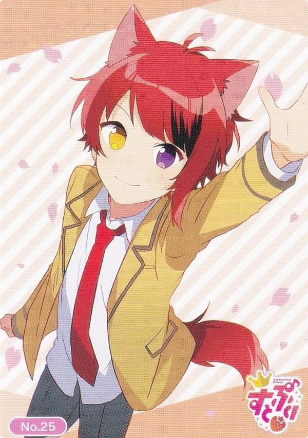 楽天市場】すとぷり 莉犬 グッズ(ブランドブシロード)の通販 楽天市場】すとぷり 莉犬 グッズ(ブランドブシロード)の通販