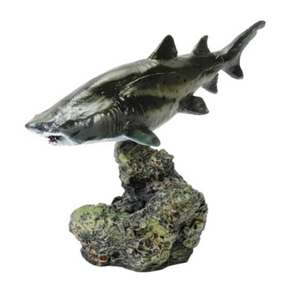 【シロワニ】 いきもの大図鑑ミニコレクション サメ02