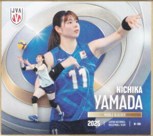 【N-08 山田二千華 (ノーマル) 】 バレーボール女子日本代表2025 トレーディングmini色紙