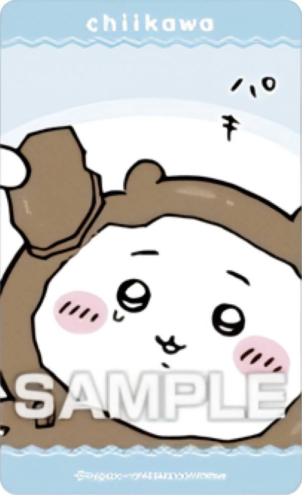 ڤ(祳եǥ)  ǥƥå4 Ĥ ƥåΤ