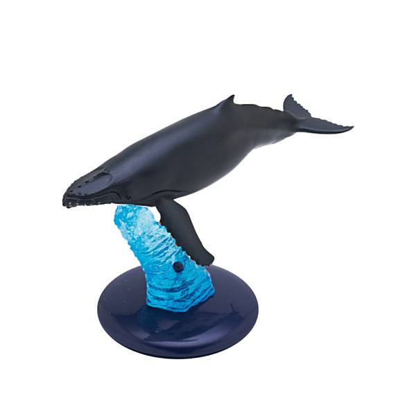 【ザトウクジラ】ネイチャーテクニカラー400 クジラとイルカ