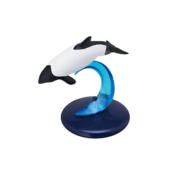【イロワケイルカ】ネイチャーテクニカラー400 クジラとイルカ