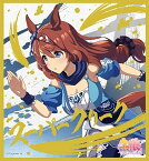 【スーパークリーク】ウマ娘 プリティーダービー ビジュアルアートボード2