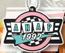 ANAP ラバーマスコット