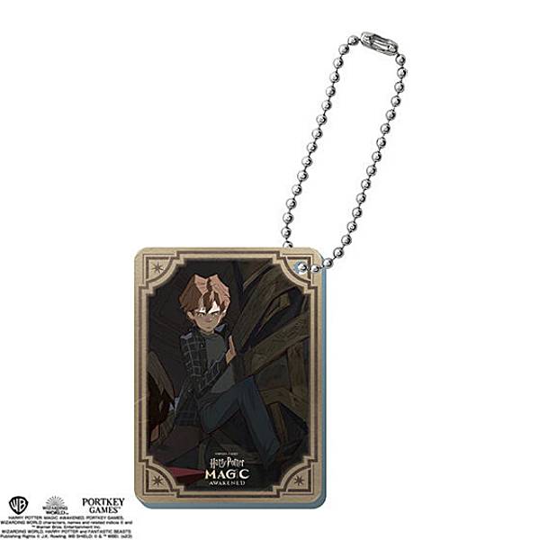 【デザインD】ハリー・ポッター：魔法の覚醒 アクリルチャーム