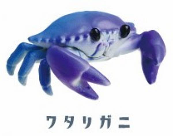 【ワタリガニ】ケーブルちょっきんしようカニ2 feat.ザリガニのサムネイル