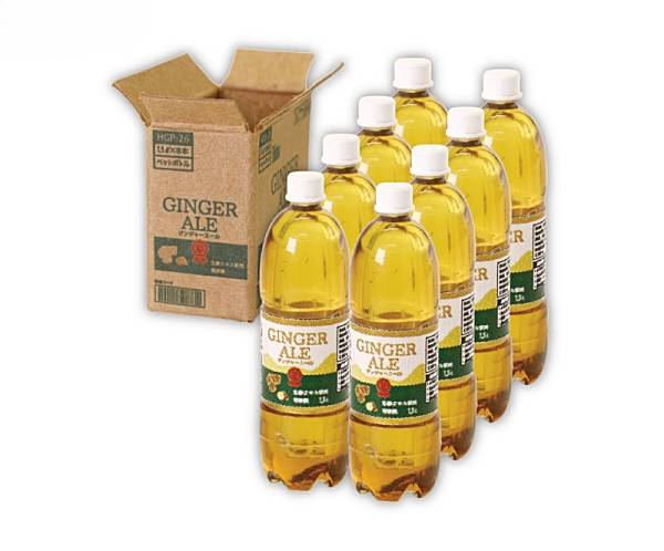 【ジンジャーエール】箱買い!ペットボトル3