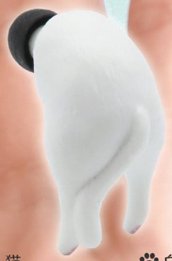 【白猫】耳栓猫