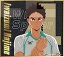 【岩泉一】ハイキュー!! ビジュアル色紙コレクション8(3)