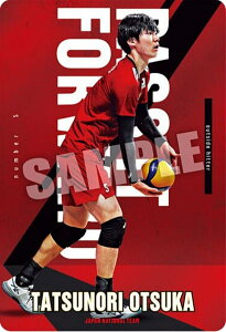 【1-05 大塚達宣 (ノーマル) 】JAPAN NATIONAL VOLLEYBALL TEAM ツインウエハース