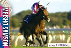 【No.2-024.メイショウサムソン 第136回天皇賞(秋)(GI)】サラブレッドホースコレクション ツインウエハース 第2R