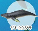 【ザトウクジラ】海洋生物大集合:Reミニフィギュアコレクション(3)