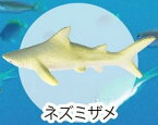 【ネズミザメ】海洋生物大集合:Reミニフィギュアコレクション