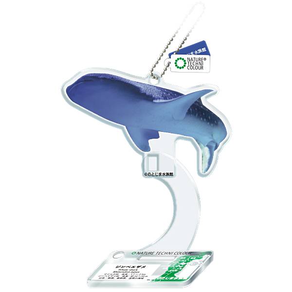 【ジンベイザメ】ネイチャーテクニカラー のとじま水族館 アクリルマスコットのサムネイル