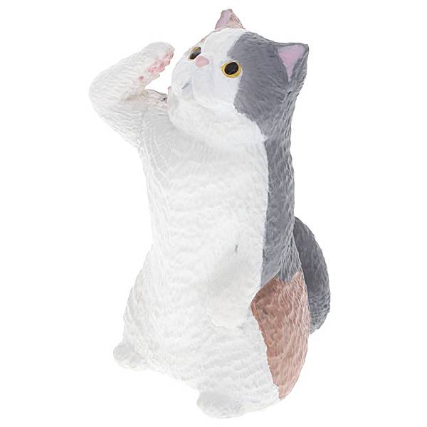 【エキゾチックショートヘア】敬礼 猫