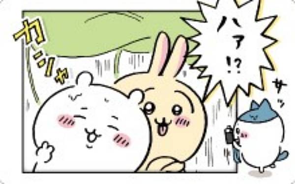 【40.ちいかわ＆ハチワレ＆うさぎ(ハァ!?)】ちいかわ スナップマイドのサムネイル