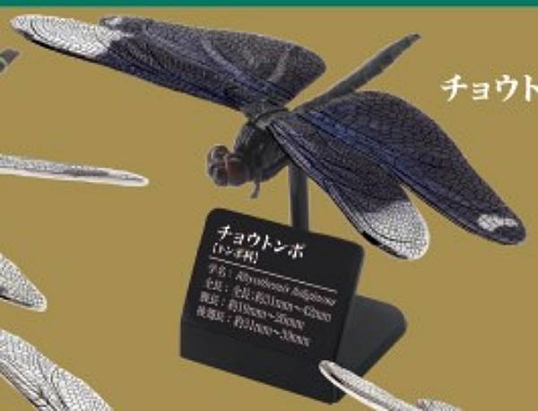 楽天市場】原色図鑑シリーズの通販 楽天市場】原色図鑑シリーズの通販