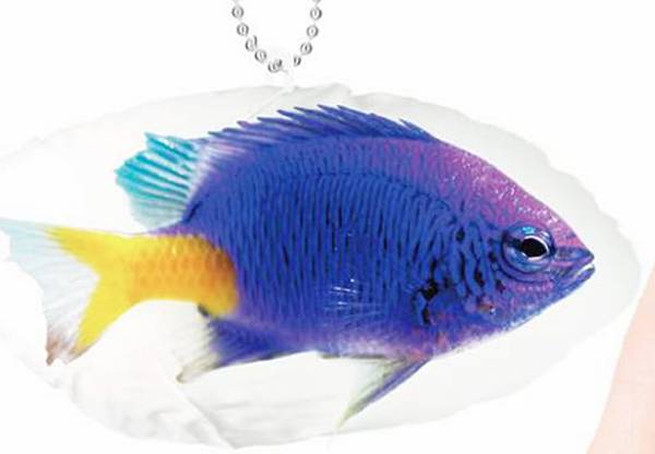 【シリキルリスズメダイ】1/1 サンゴ礁の魚たち プリントぬいぐるみコレクション