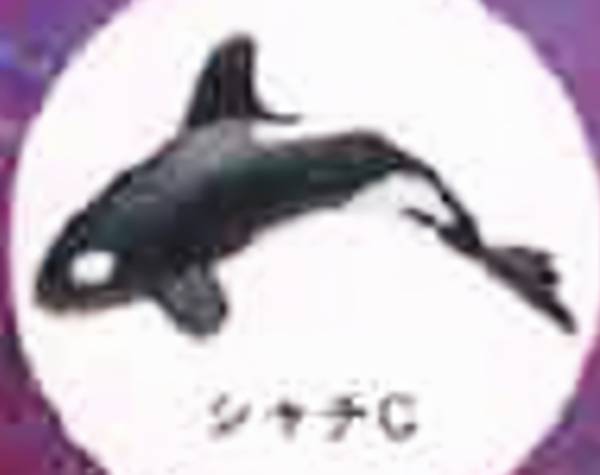 04qa00007.jpg