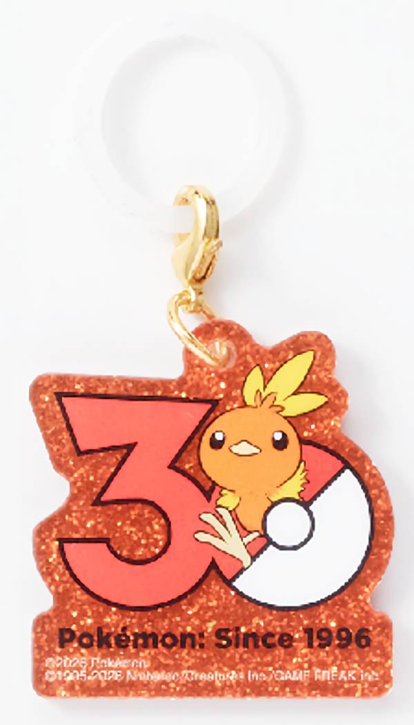 楽天市場】ポケモン アチャモ（コレクション｜ホビー）の通販