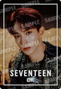  SVTウエハース From PLEDIS ENTERTAINMENT SEVENTEEN