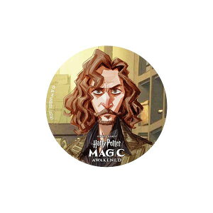 【シリウス・ブラック】 ハリー・ポッター:魔法の覚醒 缶バッジコレクション