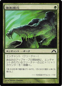 【プレイ用171808】マジックザギャザリング MTG 強制順応/Forced Adaptation【楽】【中古】