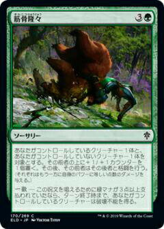 【FOIL】マジックザギャザリング ELD JP 170 筋骨隆々 (日本語版コモン) エルドレインの王権 Throne of Eldraine