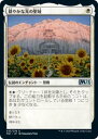 マジックザギャザリング M21 JP 033 穏やかな光の聖域 (日本語版 アンコモン) 基本セット2021 Core Set (MTG)
