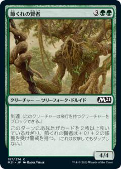 【FOIL】マジックザギャザリング M21 JP 187 節くれの賢者 (日本語版 コモン) 基本セット2021 Core Set (MTG)