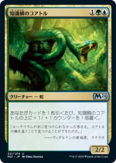 ޥå㥶 M21 JP 221 μڤΥȥ (ܸ 󥳥) ܥå2021 Core Set (MTG)