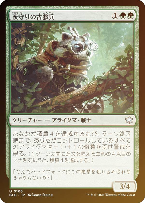 【FOIL】マジックザギャザリング BLB JP 0165 茨守りの古参兵 (日本語版 アンコモン) ブルームバロウ (MTG)