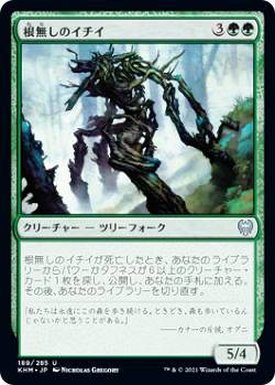 マジックザギャザリング KHM JP 189 根無しのイチイ (日本語版 アンコモン) カルドハイム