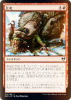 【FOIL】マジックザギャザリング KHM JP 152 圧死 (日本語版 コモン) カルドハイム