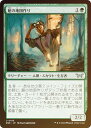 【FOIL】マジックザギャザリング DSK JP 0185 館の地図作り (日本語版 アンコモン) ダスクモーン:戦慄の館 (MTG)