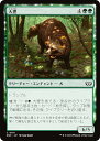 マジックザギャザリング DSC JP 0181 大狸 (日本語版 コモン) ダスクモーン:戦慄の館 統率者 (MTG)
