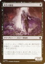 【FOIL】マジックザギャザリング FDN JP 0064 寄生の賢者 (日本語版 コモン) ファウンデーションズ (MTG)