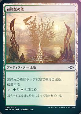 【FOIL】マジックザギャザリング MH2 JP 258 荊棘光の橋 (日本語版 コモン) モダンホライゾン2