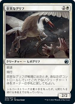 マジックザギャザリング MID JP 026 忠実なグリフ (日本語版 アンコモン) イニストラード：真夜中の狩り 【排出BOXの区別なし】