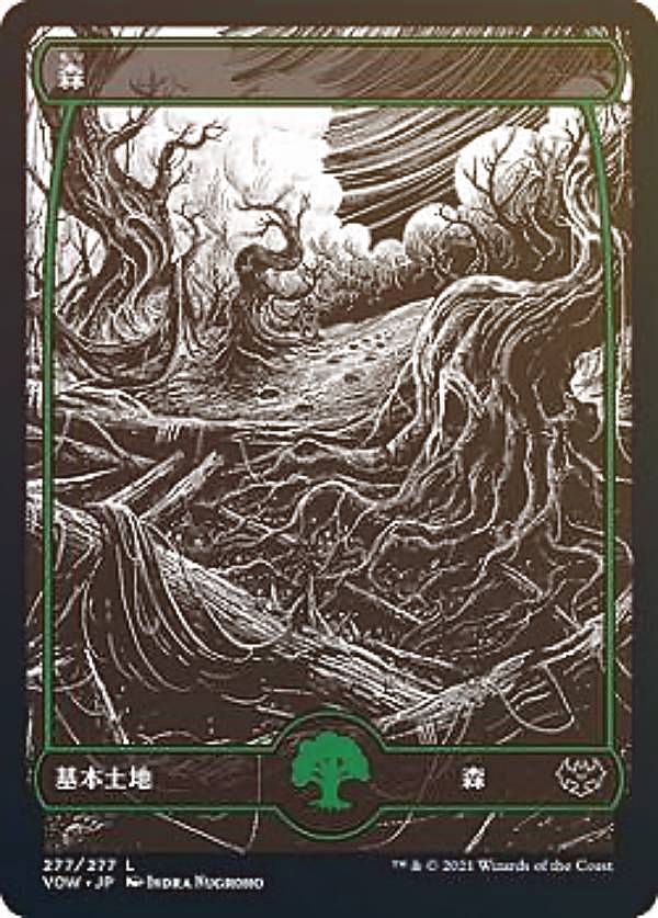 Other - 【FOIL】マジックザギャザリング VOW JP 277 森 (日本語版基本土地) イニストラード：真紅の契り 【排出BOXの区別なし】
