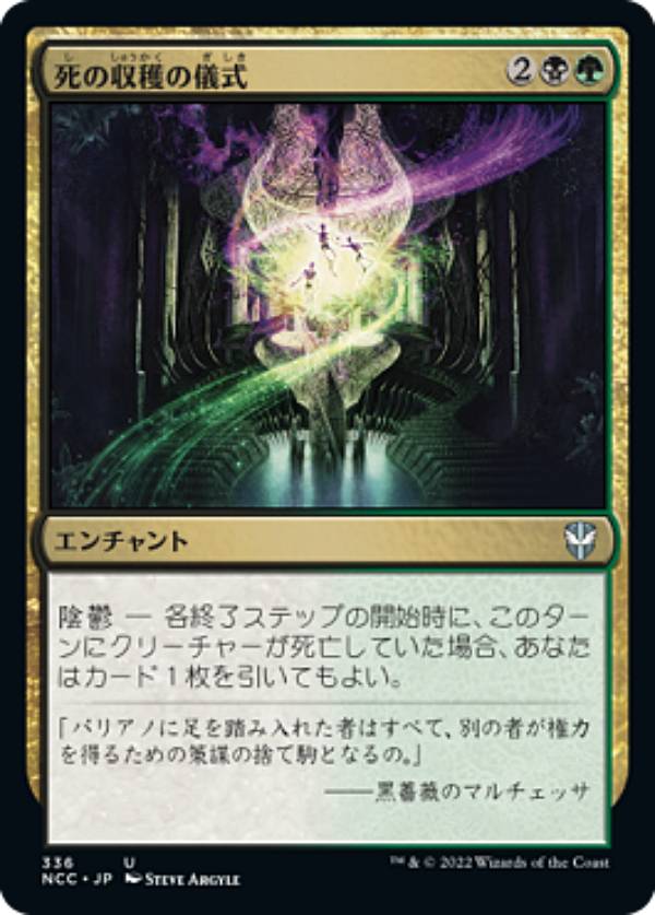 REALiZE ȥ쥫ۥӡŷԾŹ㤨֥ޥå㥶 NCC JP 336 μϤε (ܸ 󥳥 ˥塼ڥʤγ ΨԡפβǤʤ30ߤˤʤޤ