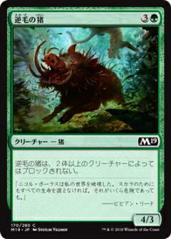 マジック・ザ・ギャザリング M19 JP 170 逆毛の猪(日本語版コモン) 基本セット Core 2019 ボックス収録 MTG