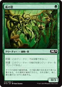マジック・ザ・ギャザリング M19 JP 210 蔦の壁(日本語版コモン) 基本セット Core 2019 ボックス収録 MTG