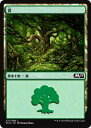 マジック・ザ・ギャザリング M19 JP 277 森(日本語版基本土地) 基本セット Core 2019 ボックス収録 MTG(3)
